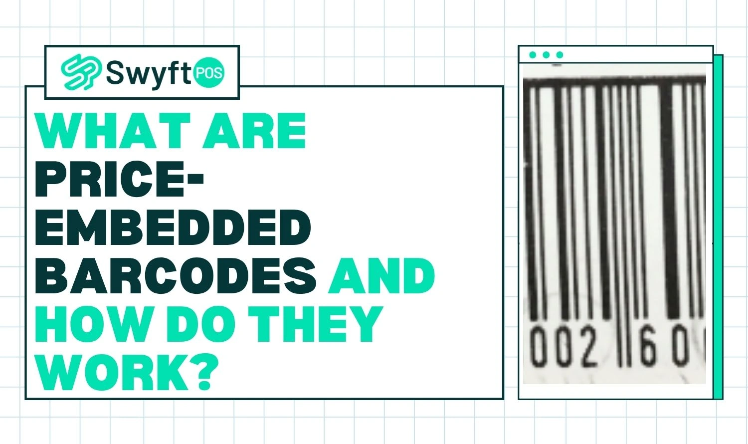 Price-embedded Barcodes